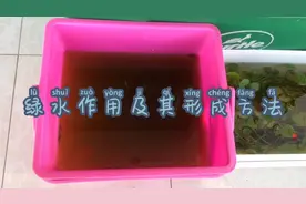 绿水作用及其形成