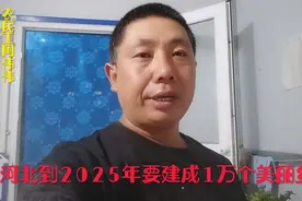 河北到2025年，要建成10000个美丽乡村，农民有福。视频封面