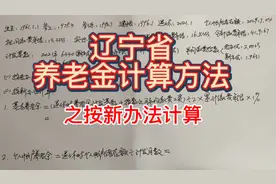 辽宁省养老金计算方法之——新办法的计算公式视频封面