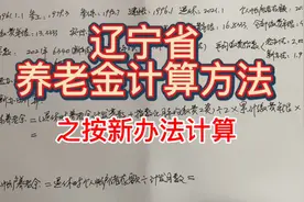 辽宁省养老金计算方法之——新办法的计算公式视频封面