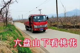 保定满城神星镇六盘山下遍地桃花免费游玩，半山腰还有泉峰寺视频封面