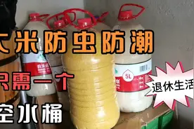 经过一年的验证，空水桶存米即能防虫防潮，又能保存米香味视频封面