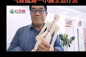 气血疏通—小腿全息疗法视频封面