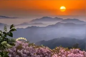非常好的一句话，对伤害你的人应该怎么去做？让我们去听一听。视频封面