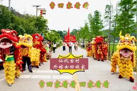 陈红《常回家看看》河源康禾仙坑古村客家外嫁女回娘家活动视频封面