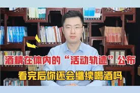 喝酒后，酒精在体内“活动轨迹”公布，看完后你还会继续喝酒吗？