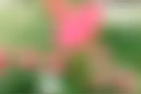 牵挂的人，献给我在家乡时妈妈。视频封面