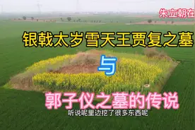 邓州银戟太岁天王贾复之墓光武帝刘秀的大将军，民间说是郭子仪墓视频封面
