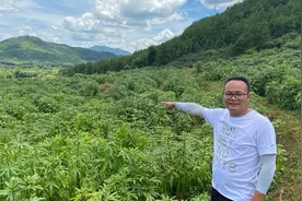 60岁大叔投资40亩荒地，同龄人都笑他是傻子，没想到年入240万