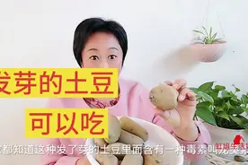 爸爸真聪明，发芽的土豆这么做，全家人爱吃视频封面