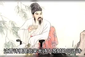 经典回环诗《赏花》的真实故事视频封面
