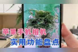 苹果手机相机隐藏功能盘点，能拍照测身高，第三个功能最实用！