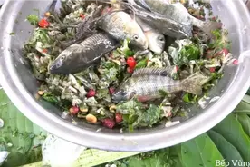 越南生猛鱼生！链子哥团队成员，他们来了。罗非鱼杂鱼一锅端！视频封面