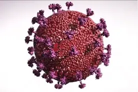 医学科普:艾滋病病毒是如何一步步攻陷人体免疫系统？