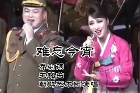 朝鲜艺术团演唱中国春晚保留歌曲难忘今宵青山在人未老视频封面
