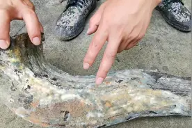 6年的老腊肉长满霉斑和包浆 用高压水枪暴力清洗 整个人都解脱了