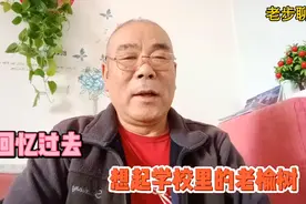 回忆过去展望未来，就想起了六七十年代，学校里的几颗老榆树。视频封面