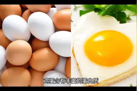 超市常规商品知识分享—禽蛋篇视频封面