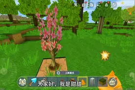 #迷你世界创造模式 桃树种不出来了，有人知道怎么回事吗？