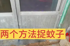 跟农村老奶奶学习，两个方法捉蚊子，简直是太聪明了