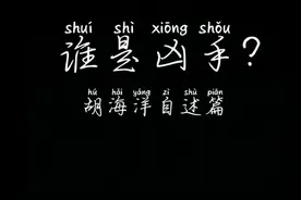 谁是凶手？胡海洋自述视频封面