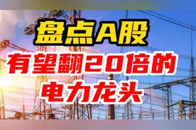 盘点A股有望翻20倍的3大电力龙头！视频封面