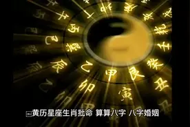87年兔的运程视频封面