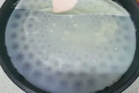 电饼铛做凉皮，别再烙成饼了，教你正确做法，不揉面不洗面真简单视频封面