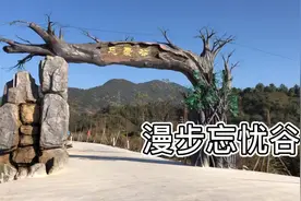 漫步忘忧谷