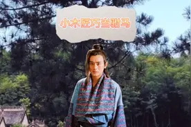 小木匠巧当驸马【全集】大人小孩都爱听的好故事视频封面