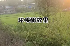 环嗪酮用后效果视频封面