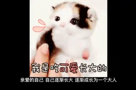 写给辛苦的自己视频封面