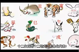 十二生肖的顺序表视频封面