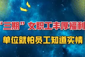 女职工的福利到底有多丰厚？单位一般不会告诉你视频封面