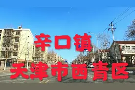 距离天津市区16公里的西青区辛口镇视频封面