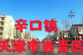 距离天津市区16公里的西青区辛口镇视频封面