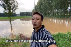 河南焦作突降暴雨，小波家地西边100多亩花生全部淹没，好可惜呀视频封面
