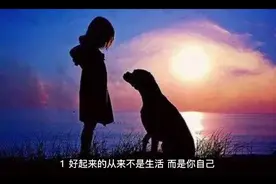 36句触动心灵的情感句子，愿你有人疼，有人懂，有人爱视频封面