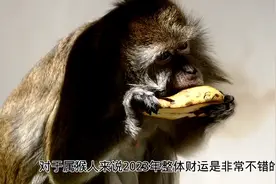 属猴人2023年有三喜，尤其是92年的猴!视频封面