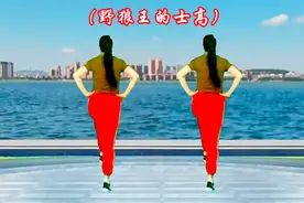 劲爆DJ广场舞（野狼王的士高）7080后蹦迪舞曲，你还记得吗