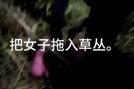 卧底：歹徒太嚣张，大白天把姑娘拖进草丛，下一秒姑娘惨了！视频封面