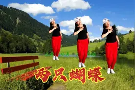 庞龙一首《两只蝴蝶》太经典了，浪漫动听视频封面