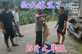 胖哥花130块钱买了一条16斤野生大草鱼，捡到大便宜了，连说谢谢视频封面