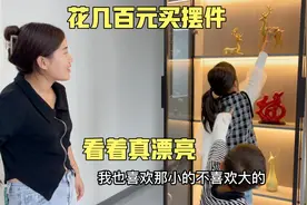 好好花几百元给新房买摆件，拆箱往酒柜里一摆，看着简直太漂亮了视频封面