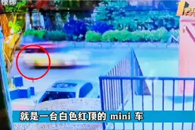 宠物猫被车撞了，猫主人要求赔偿3800元，司机：一分钱不赔视频封面