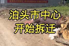 泊头市里开始拆迁视频封面