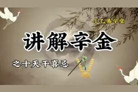 辛金喜忌#辛金视频封面