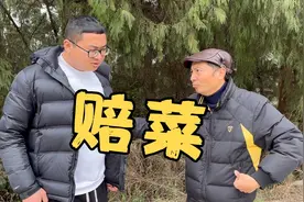 敌人的敌人是朋友，朋友的敌人是敌人！视频封面
