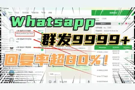 单日群发9999+，稳定防封的WhatsApp群发工具推荐#WhatsApp