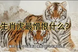 生肖虎最憎恨什么？